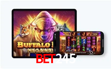 Tecnologia da Plataforma bet245